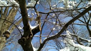 VIDEO0156_0000032636