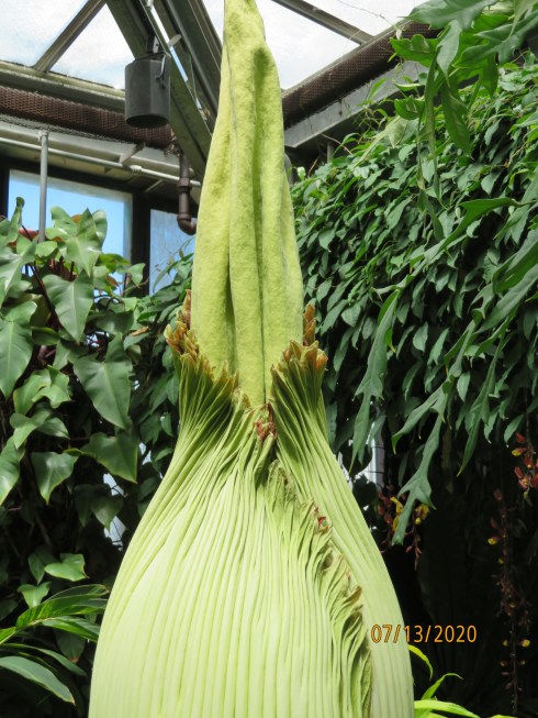 20200713134249_img_4870