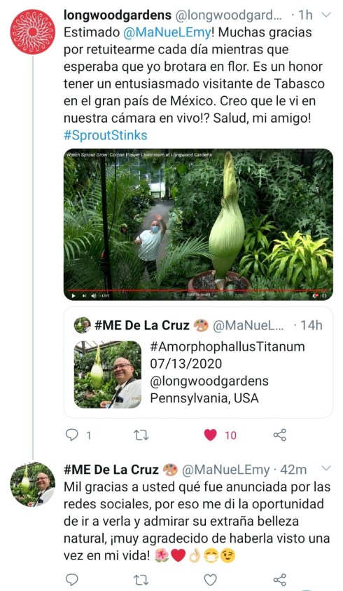 screenshot_20200714-151527_twitter